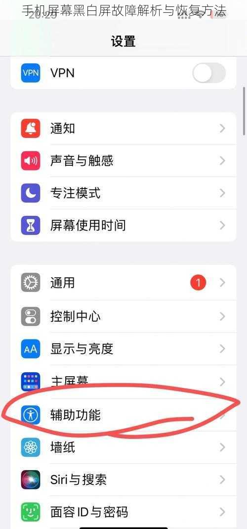 手机屏幕黑白屏故障解析与恢复方法