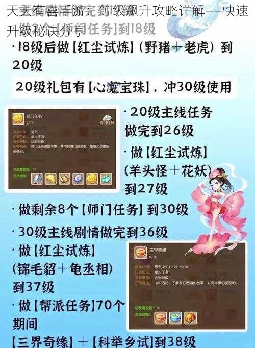 天天有喜手游：等级飙升攻略详解——快速升级秘诀分享