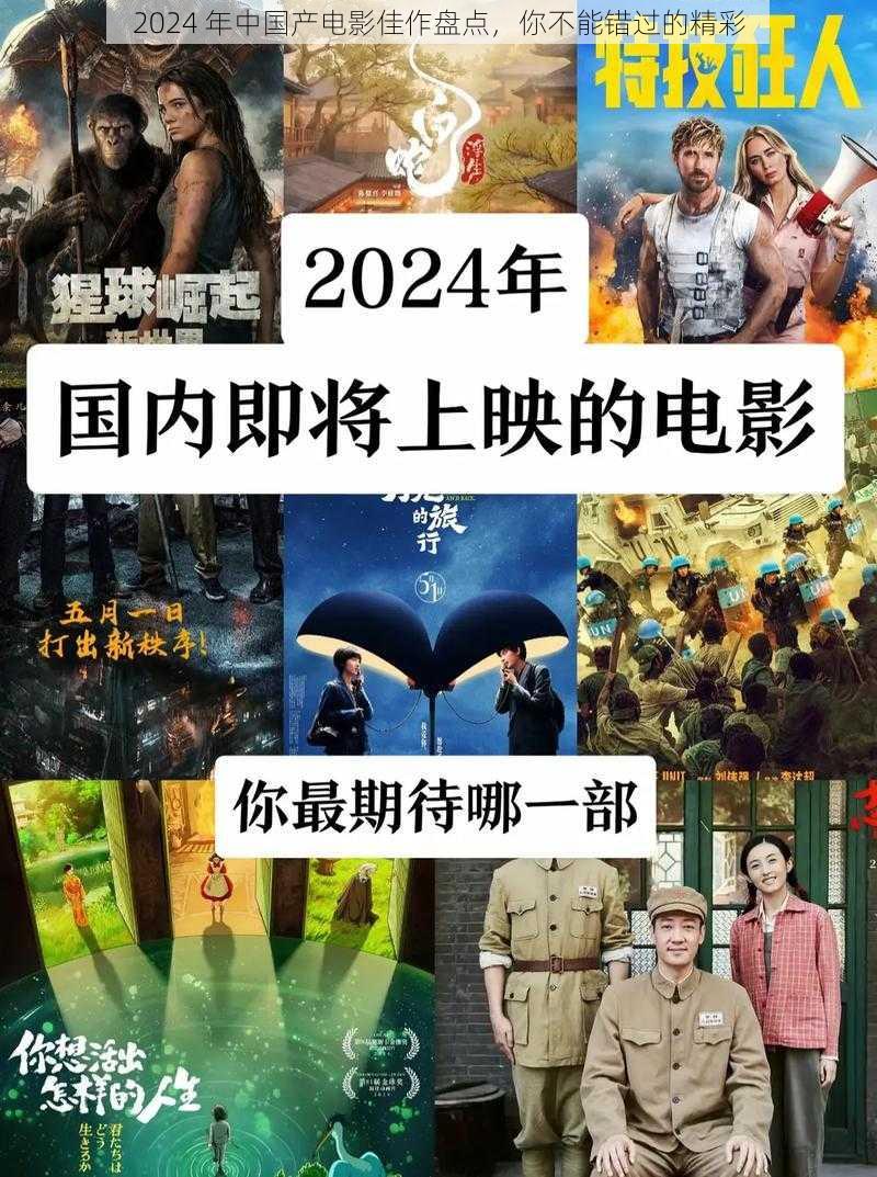 2024 年中国产电影佳作盘点，你不能错过的精彩