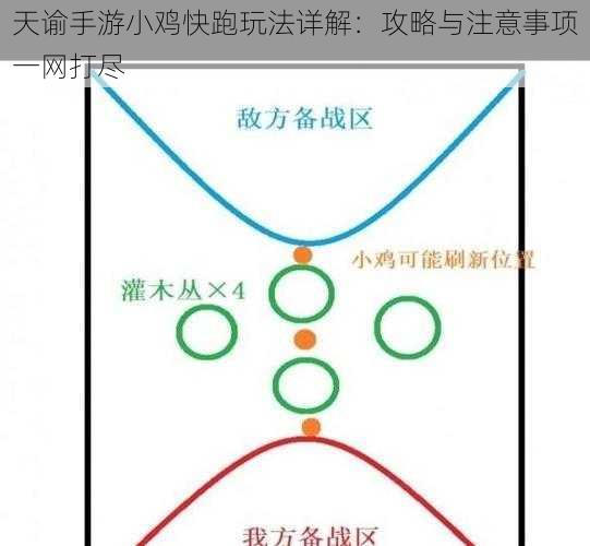 天谕手游小鸡快跑玩法详解：攻略与注意事项一网打尽