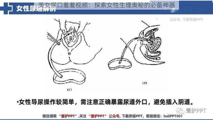 美女尿口羞羞视频：探索女性生理奥秘的必备神器