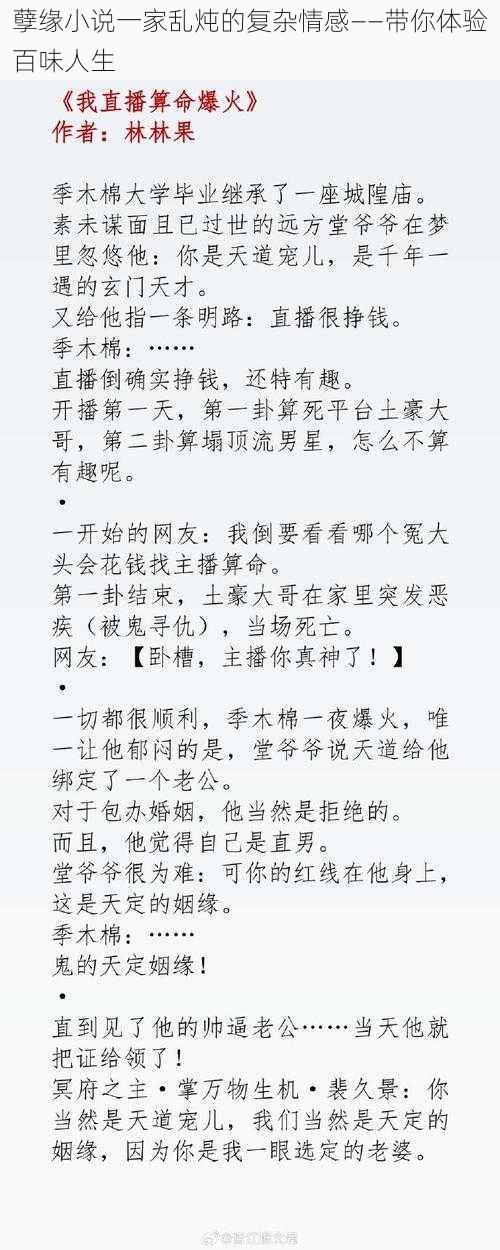 孽缘小说一家乱炖的复杂情感——带你体验百味人生