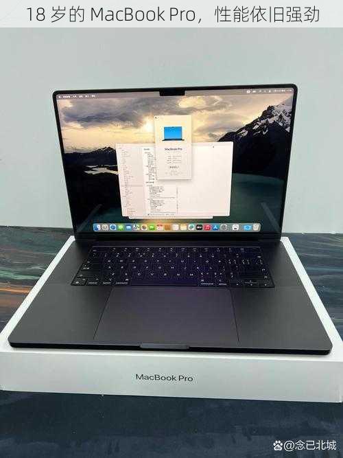 18 岁的 MacBook Pro，性能依旧强劲