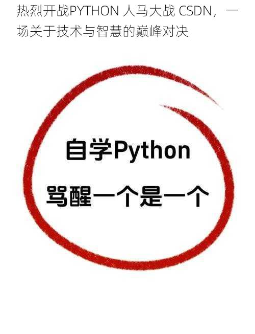 热烈开战PYTHON 人马大战 CSDN，一场关于技术与智慧的巅峰对决