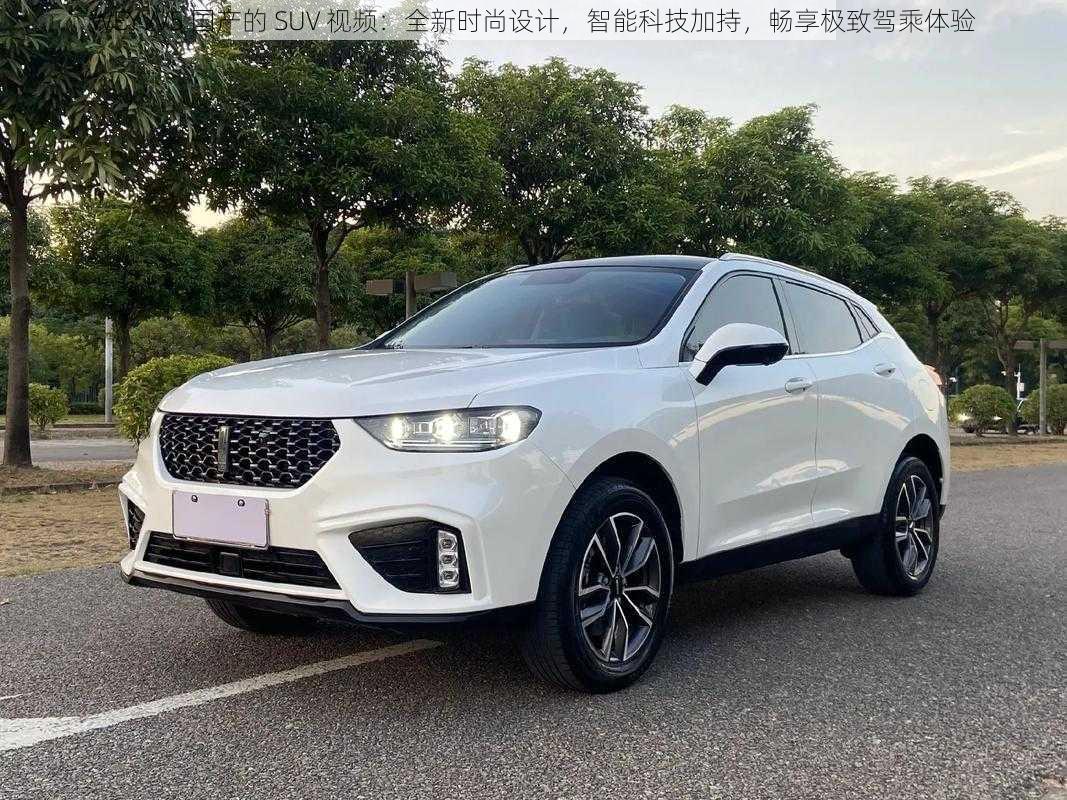 WEYVV5 国产的 SUV 视频：全新时尚设计，智能科技加持，畅享极致驾乘体验