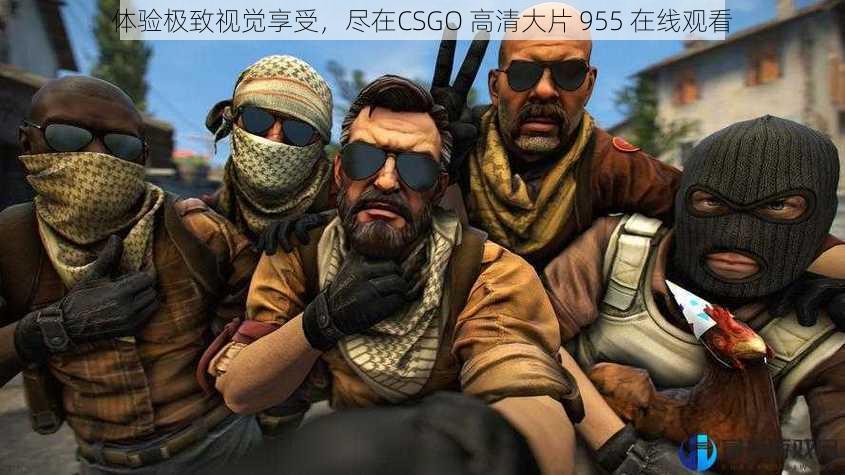 体验极致视觉享受，尽在CSGO 高清大片 955 在线观看