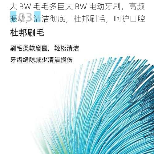 大 BW 毛毛多巨大 BW 电动牙刷，高频振动，清洁彻底，杜邦刷毛，呵护口腔