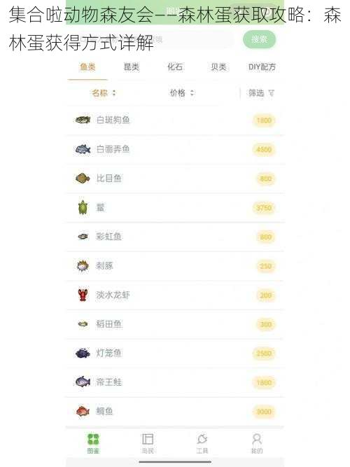 集合啦动物森友会——森林蛋获取攻略：森林蛋获得方式详解