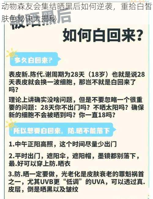 动物森友会集结晒黑后如何逆袭，重拾白皙肤色秘诀大揭秘