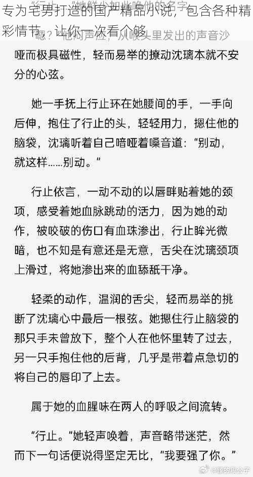 专为宅男打造的国产精品小说，包含各种精彩情节，让你一次看个够