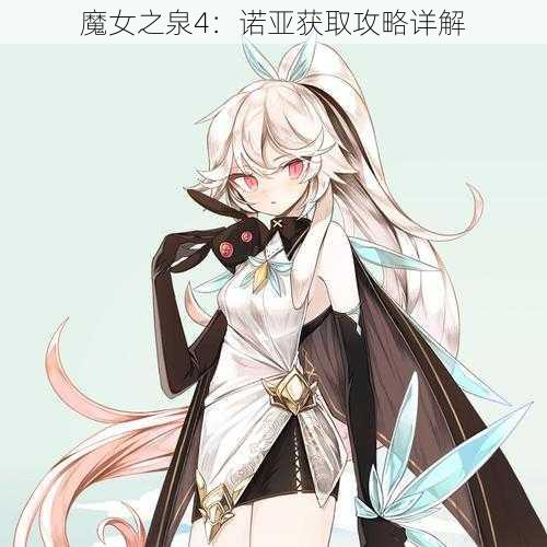 魔女之泉4：诺亚获取攻略详解