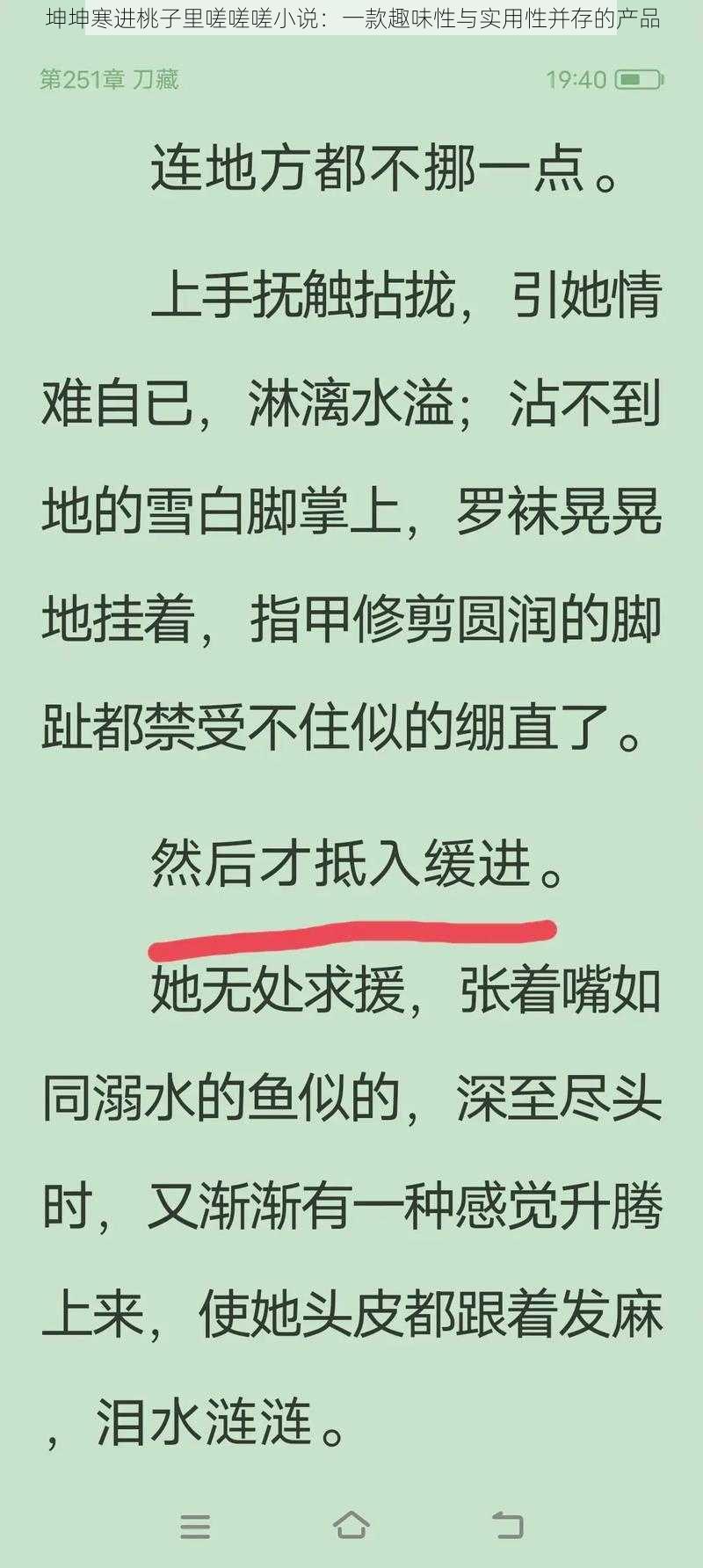 坤坤寒进桃子里嗟嗟嗟小说：一款趣味性与实用性并存的产品