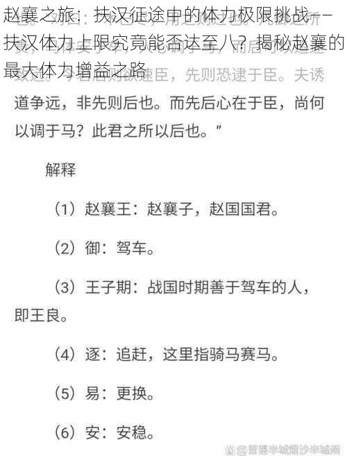 赵襄之旅：扶汉征途中的体力极限挑战——扶汉体力上限究竟能否达至八？揭秘赵襄的最大体力增益之路