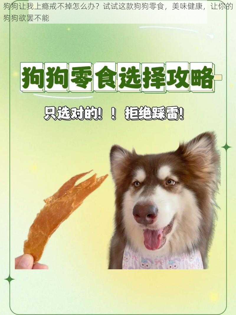 狗狗让我上瘾戒不掉怎么办？试试这款狗狗零食，美味健康，让你的狗狗欲罢不能