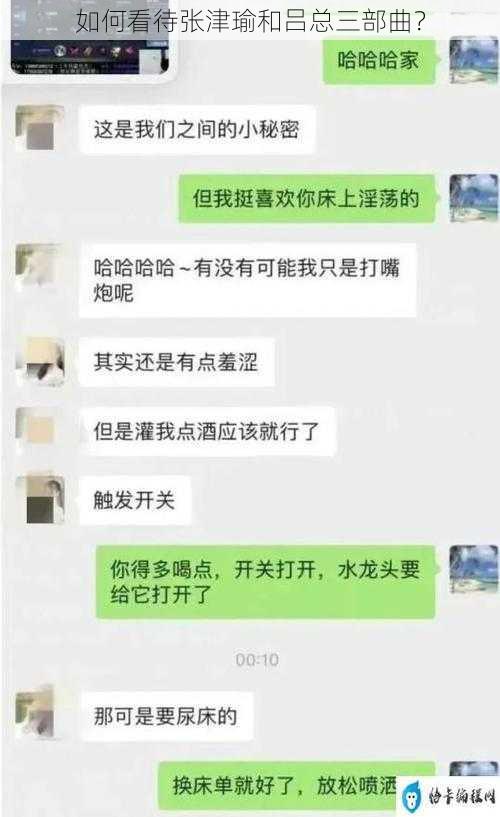 如何看待张津瑜和吕总三部曲？