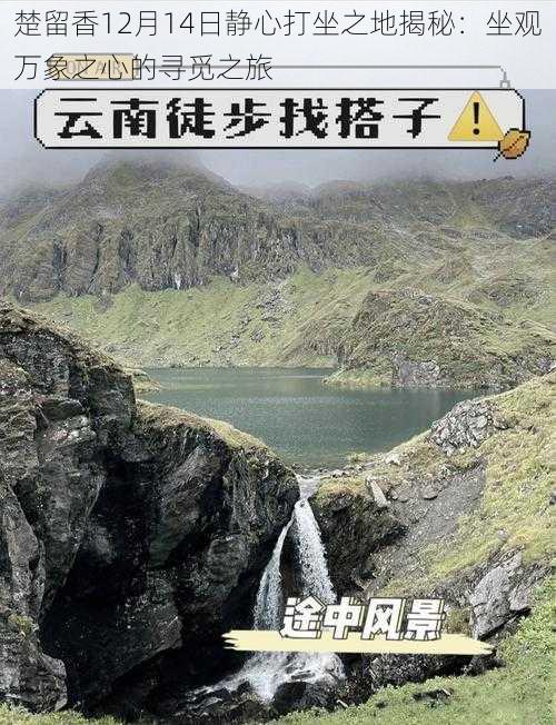 楚留香12月14日静心打坐之地揭秘：坐观万象之心的寻觅之旅