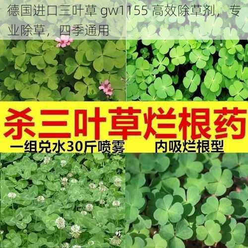 德国进口三叶草 gw1155 高效除草剂，专业除草，四季通用