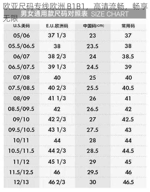 欧亚尺码专线欧洲 B1B1，高清流畅，畅享无限