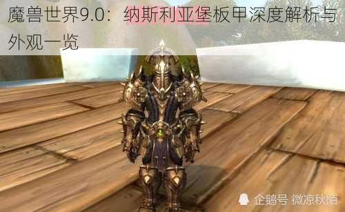 魔兽世界9.0：纳斯利亚堡板甲深度解析与外观一览