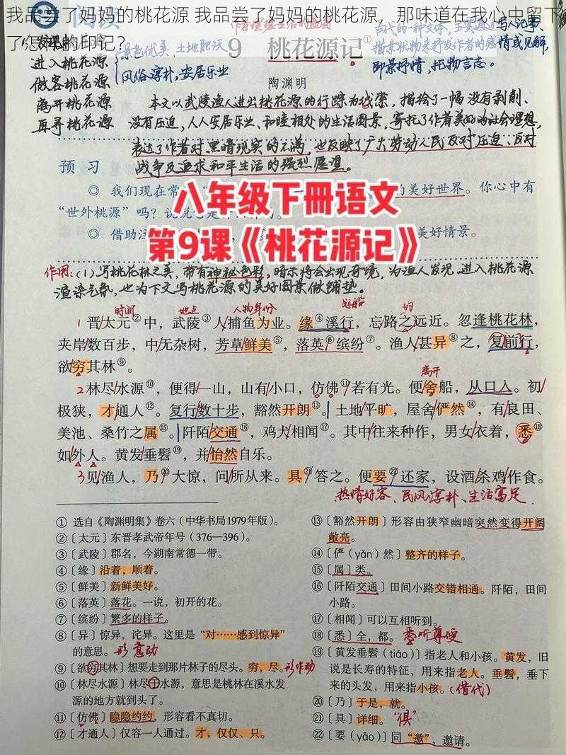 我品尝了妈妈的桃花源 我品尝了妈妈的桃花源，那味道在我心中留下了怎样的印记？