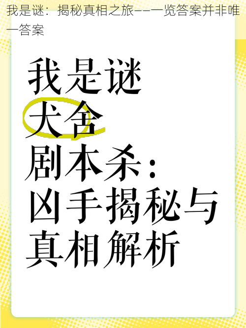 我是谜：揭秘真相之旅——一览答案并非唯一答案