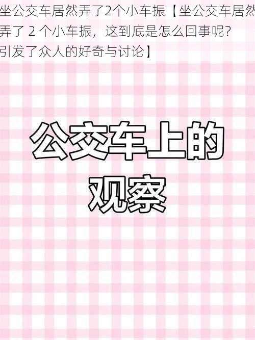 坐公交车居然弄了2个小车振【坐公交车居然弄了 2 个小车振，这到底是怎么回事呢？引发了众人的好奇与讨论】