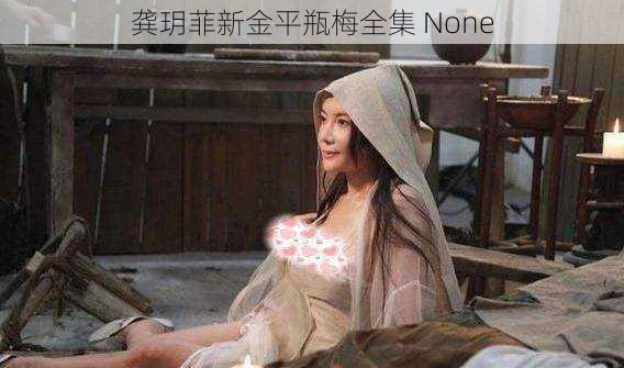 龚玥菲新金平瓶梅全集 None