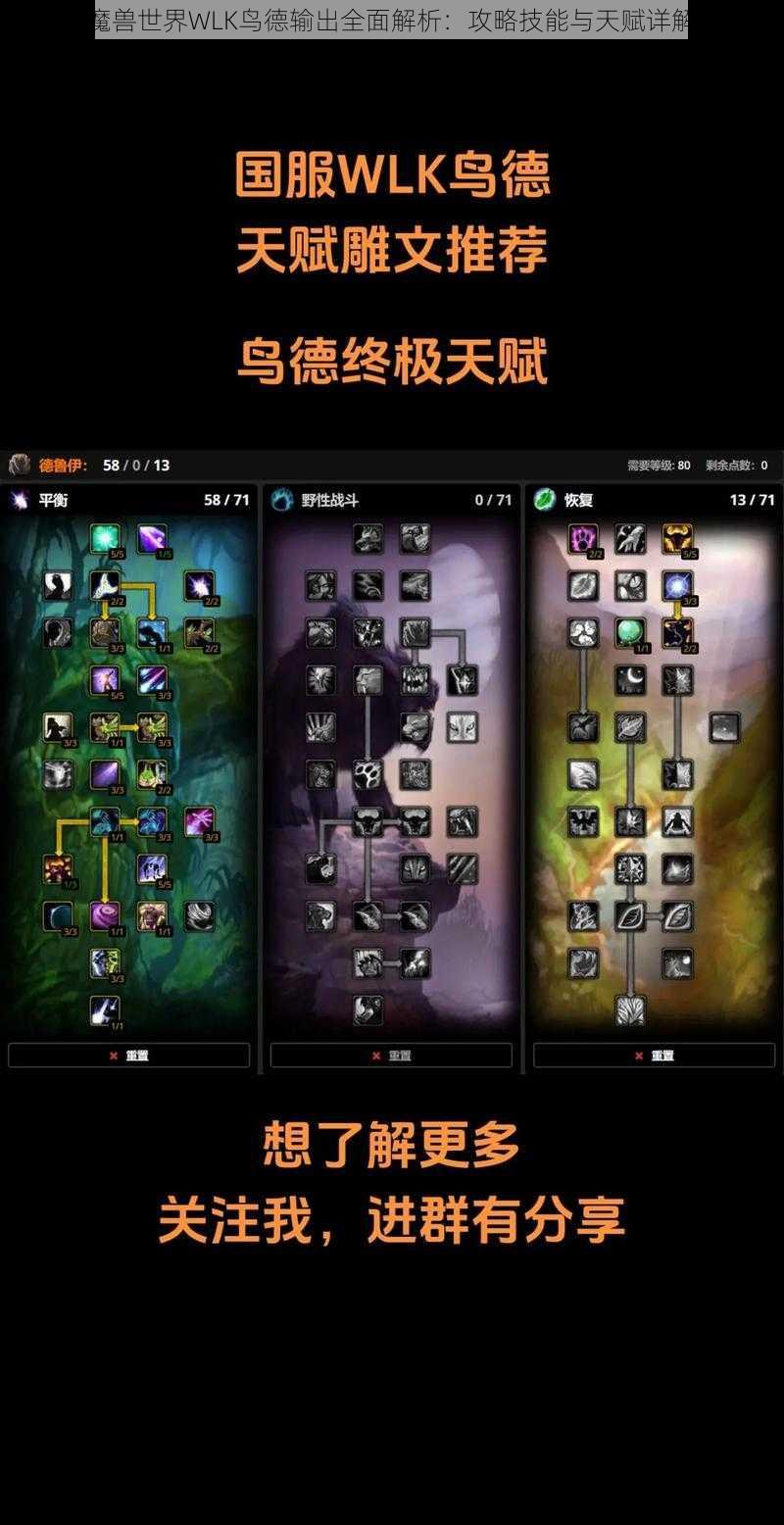 魔兽世界WLK鸟德输出全面解析：攻略技能与天赋详解