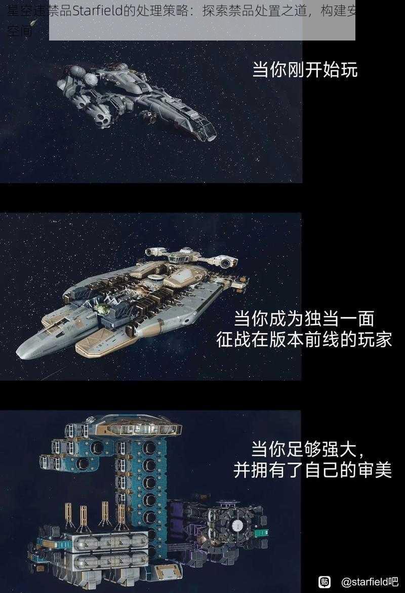 星空违禁品Starfield的处理策略：探索禁品处置之道，构建安全网络空间