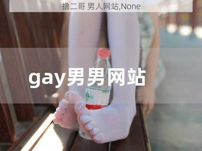 撸二哥 男人网站,None