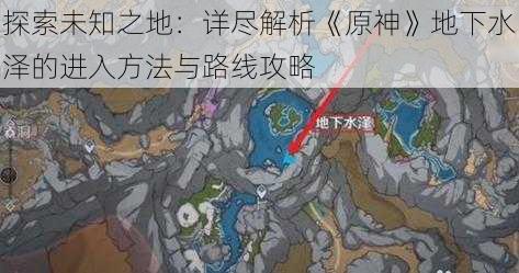 探索未知之地：详尽解析《原神》地下水泽的进入方法与路线攻略