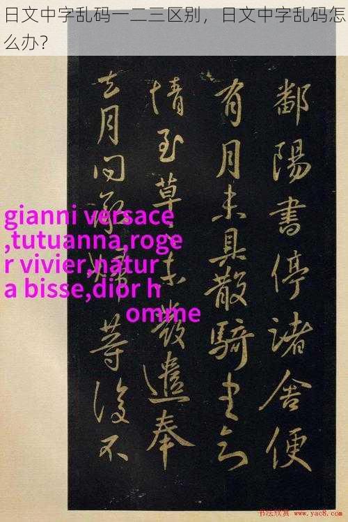 日文中字乱码一二三区别，日文中字乱码怎么办？