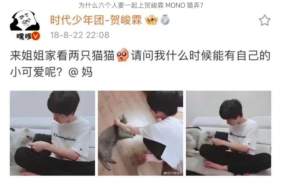 为什么六个人要一起上贺峻霖 MONO 猫弄？