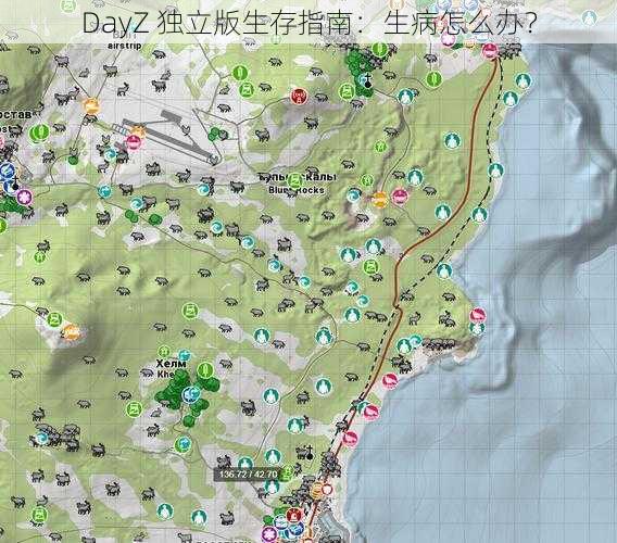 DayZ 独立版生存指南：生病怎么办？