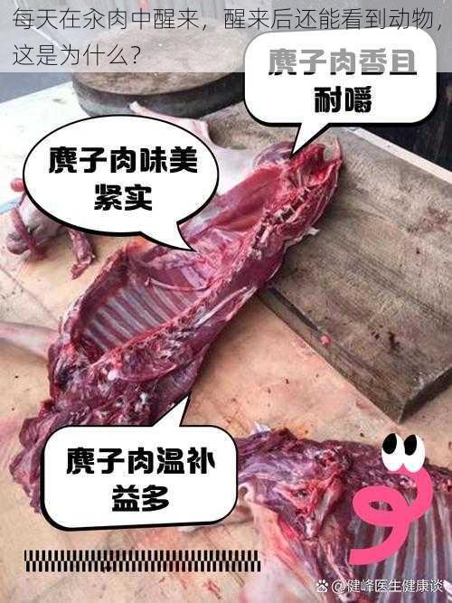 每天在汆肉中醒来，醒来后还能看到动物，这是为什么？