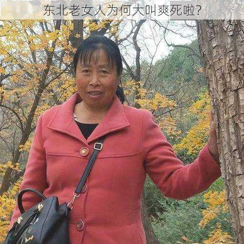 东北老女人为何大叫爽死啦？