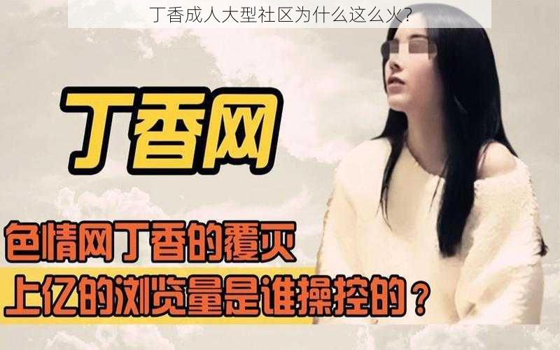 丁香成人大型社区为什么这么火？