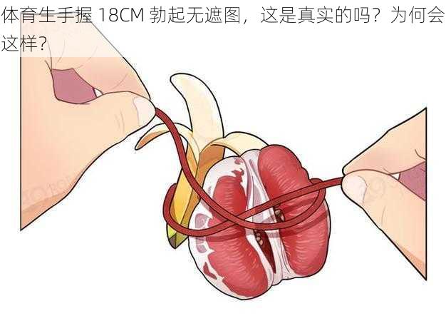 体育生手握 18CM 勃起无遮图，这是真实的吗？为何会这样？