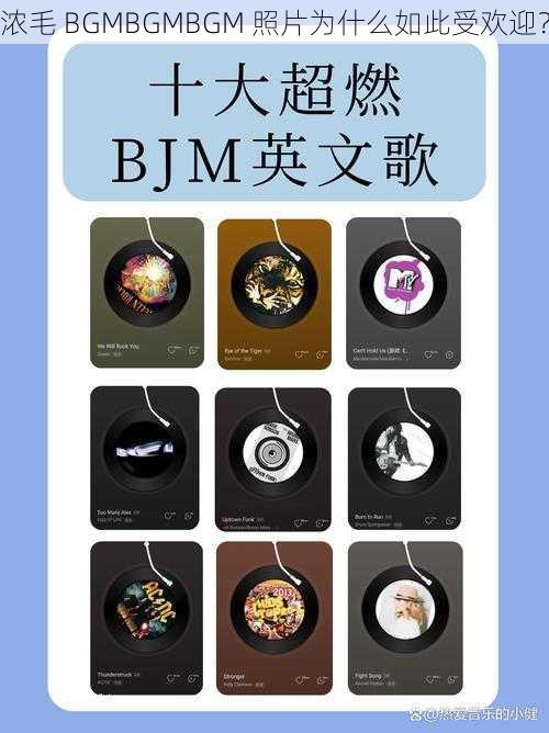 浓毛 BGMBGMBGM 照片为什么如此受欢迎？