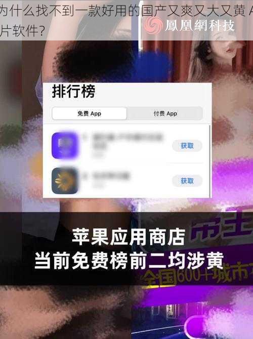 为什么找不到一款好用的国产又爽又大又黄 A 片软件？