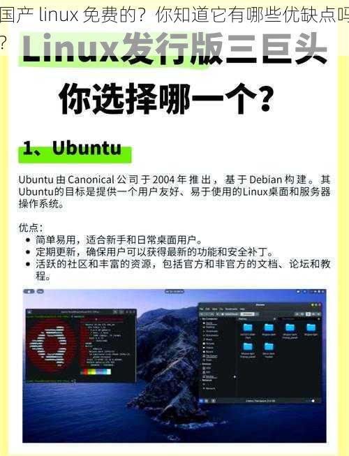 国产 linux 免费的？你知道它有哪些优缺点吗？