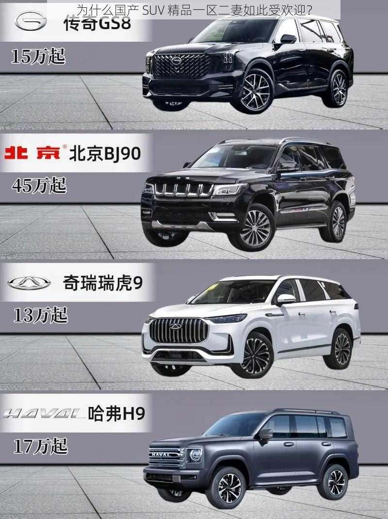 为什么国产 SUV 精品一区二妻如此受欢迎？