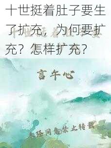 十世挺着肚子要生了扩充，为何要扩充？怎样扩充？