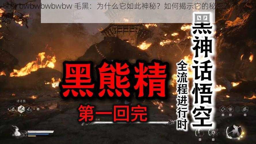 探秘 bwbwbwbwbw 毛黑：为什么它如此神秘？如何揭示它的秘密？有何解决办法？