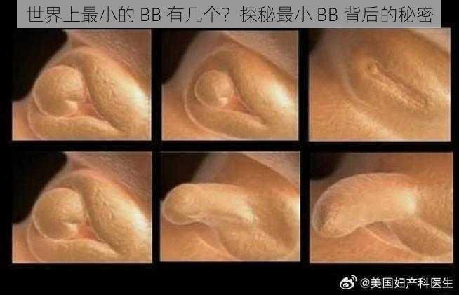 世界上最小的 BB 有几个？探秘最小 BB 背后的秘密