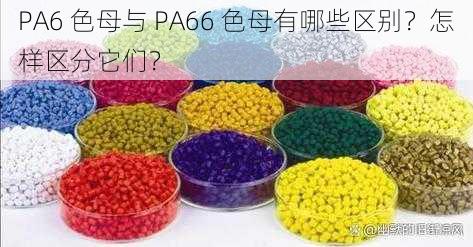 PA6 色母与 PA66 色母有哪些区别？怎样区分它们？