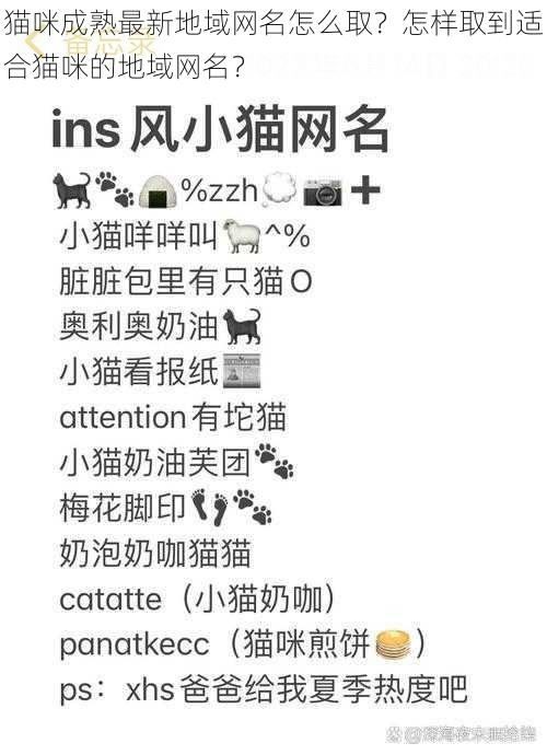 猫咪成熟最新地域网名怎么取？怎样取到适合猫咪的地域网名？