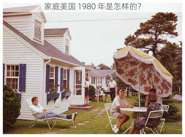 家庭美国 1980 年是怎样的？