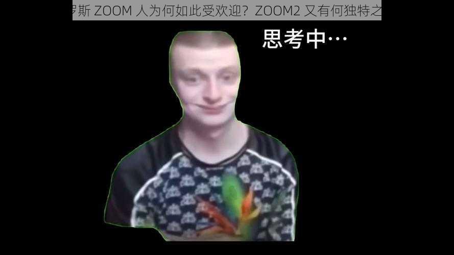 俄罗斯 ZOOM 人为何如此受欢迎？ZOOM2 又有何独特之处？