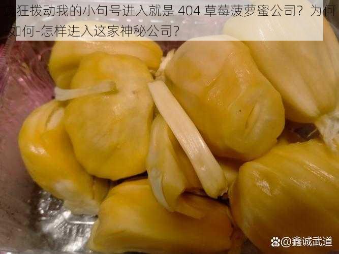 疯狂拨动我的小句号进入就是 404 草莓菠萝蜜公司？为何-如何-怎样进入这家神秘公司？